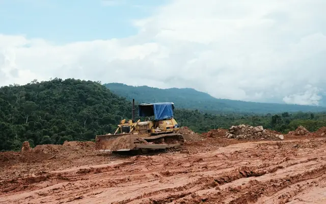 Clearing & levelling