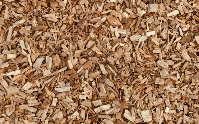 Clean-up & mulch