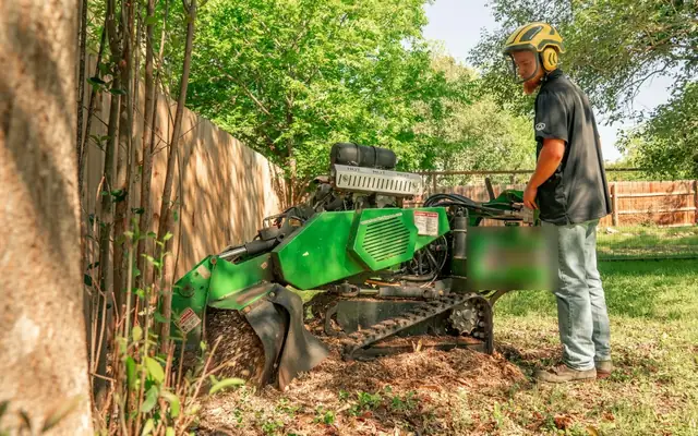 Stump grinding