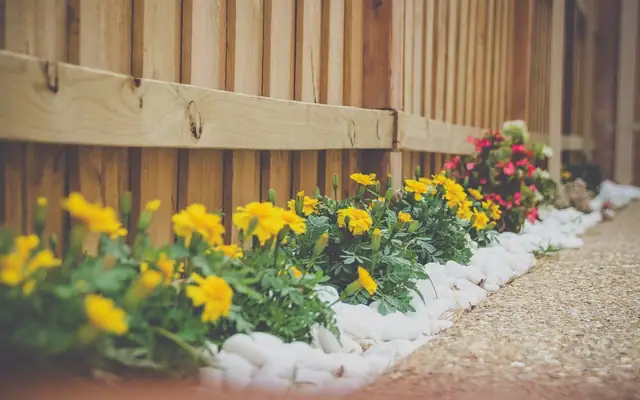 Gardens & planting
