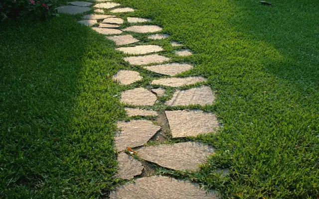 Paving & paths