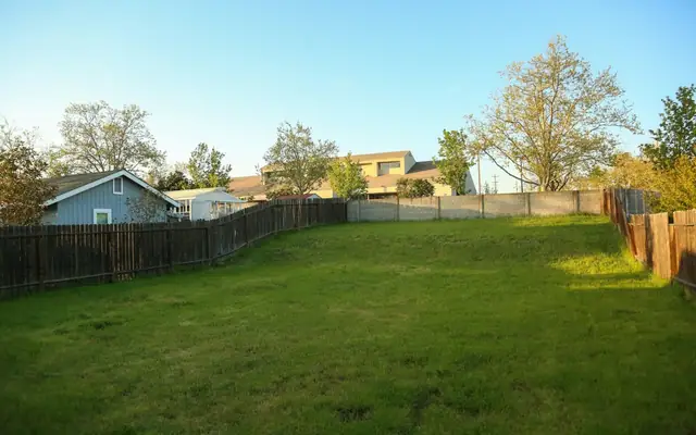 Turf & lawns