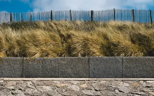 Native grasses above a block retaining wall