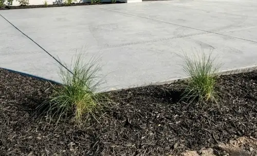 Finished concrete with garden edging